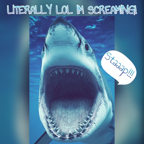 BOGOHALF ALL KIDS CLOSET - Picture 3 of 8